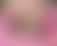 Emergency Surgery Saves Kitten's Life: A Heartwarming Story