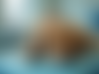 What to Do When Your Pet Needs Emergency Care