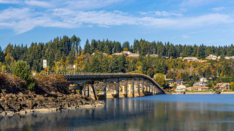 Discover Fox Island, WA: The Ultimate Pacific Northwest Island Sanctuary