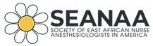 Asset 23 - transparent.png