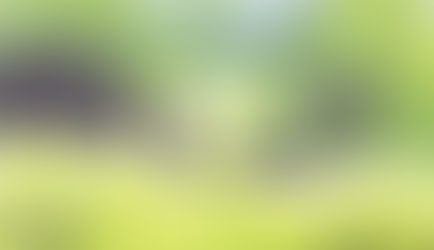 木々の間の根源(屯) はじまりの春