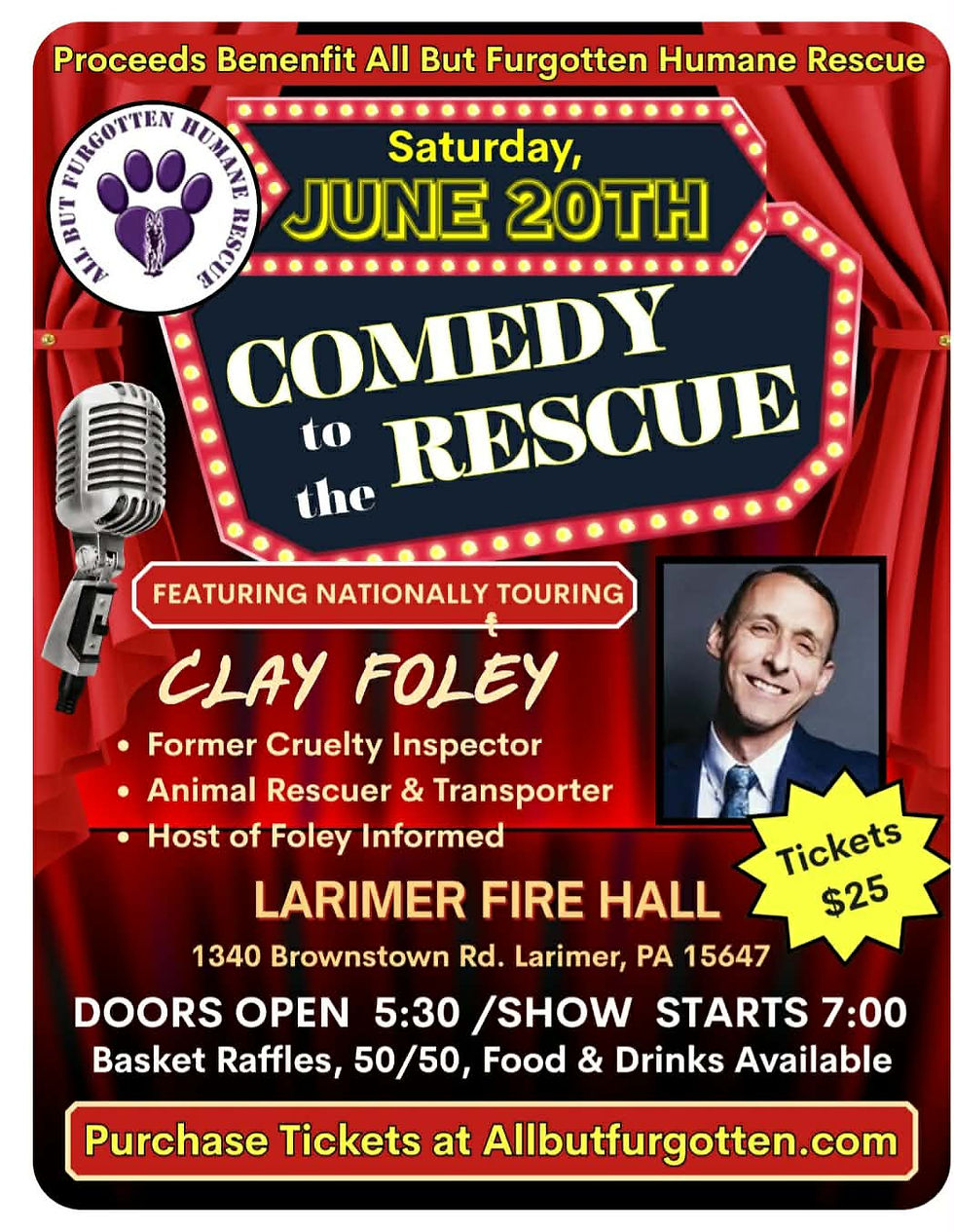 Comedy Show - Comedy to the Rescue
