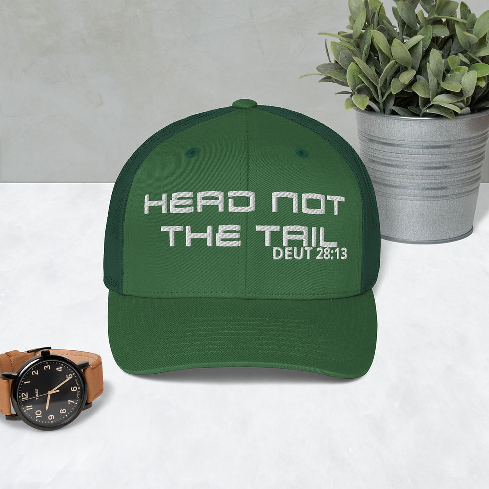 Thumbnail: Head not the Tail Trucker Cap
