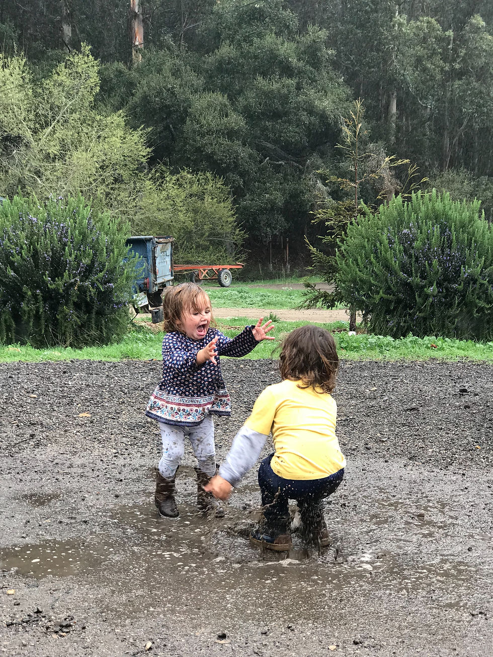 Wyatt & Zoe jumping in muddy puddles
