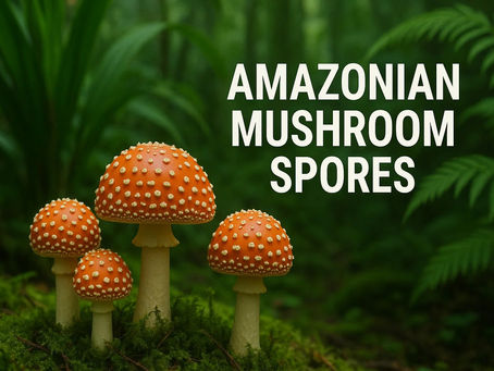How Amazonian Mushroom Spores Help Researchers Study Fungi in Detail