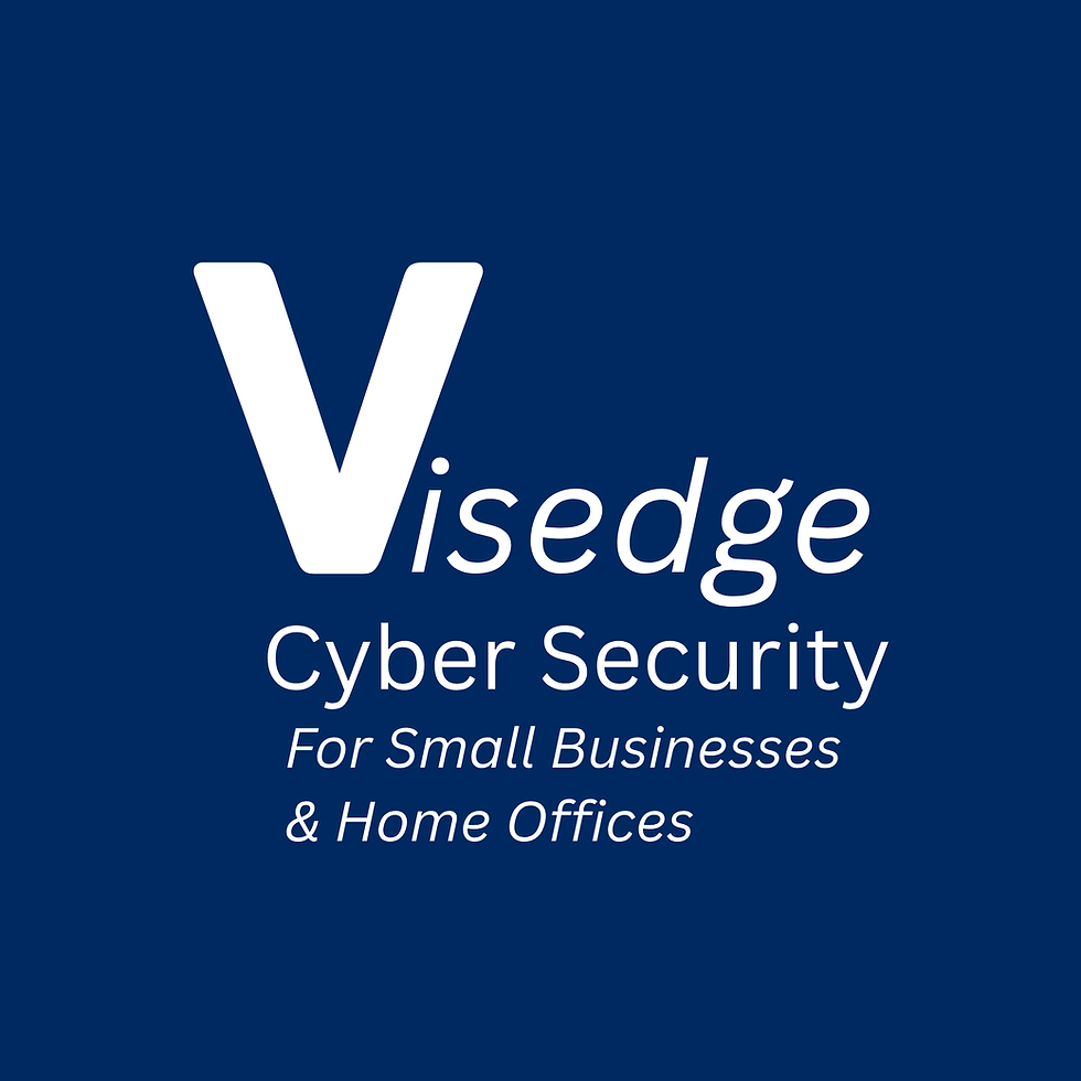 Visedge Cyber Security For Small Businesses & Home Offices Logo