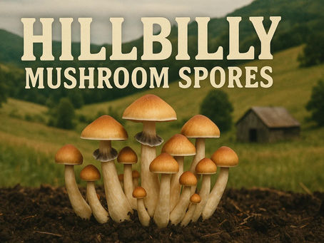 Why Researchers Love Studying Hillbilly Mushroom Spores Under the Microscope