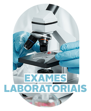 Exames laboratoriais.png