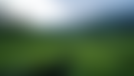 The Wonders of the Tea Plant: From Leaf to Cup