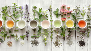 "Enchanted World of Beyond Basic Black: A Journey Through Exotic Tea Blends."