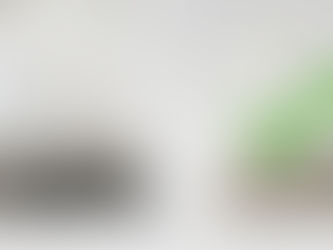 Tea Plastic bag vs. Compost Tea Bag.