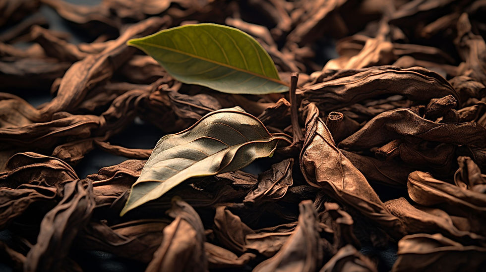 Pu-Erh Tea Benefits