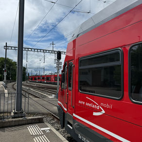 Moosrugger-Rätsel - der perfekte Familienausflug von Biel nach Täuffelen