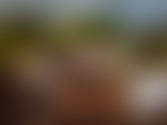 WELLY RELEASE 'CUL-DE-SAC' WITH THE NEWS OF A NATIONAL TOUR 