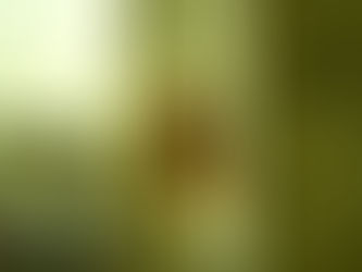 IZZY S.O UNVEILS CATHARTIC SINGLE "I SWEAR I MADE YOU UP"