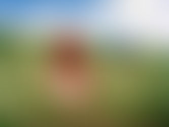 jite Explores The Spiral Of Modern Love On Dreamy New Single ‘limerence’