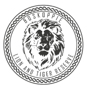 BK LOgo Dark Gray Transparent background.png