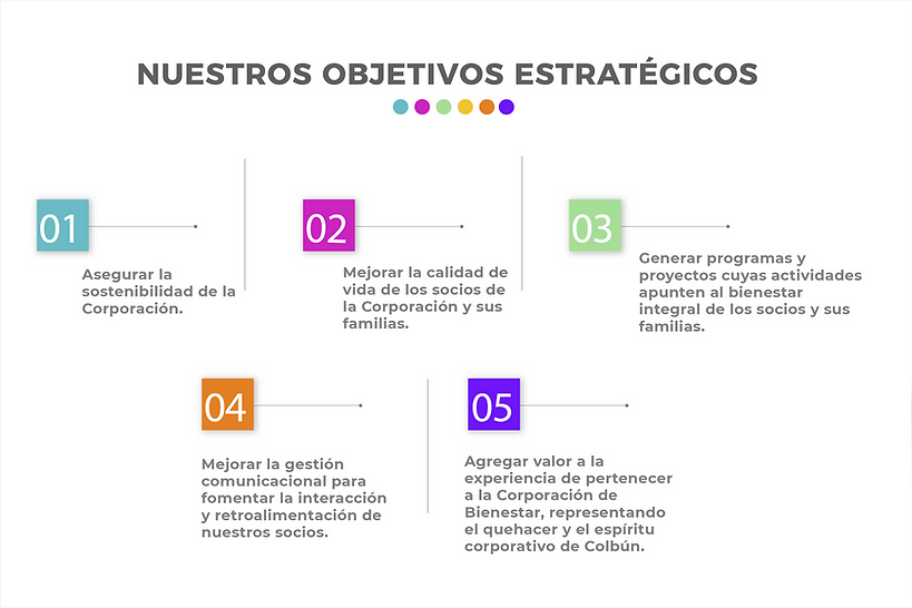 PROYECTO OBJETIVOSOK-01.png