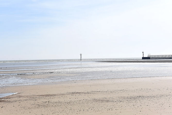 DSC_5462.JPG
