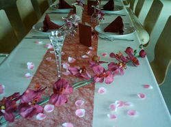 Table VieuxroseCremeIV