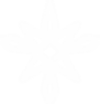 Hexagon.png
