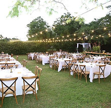 THEODOR תיאודור