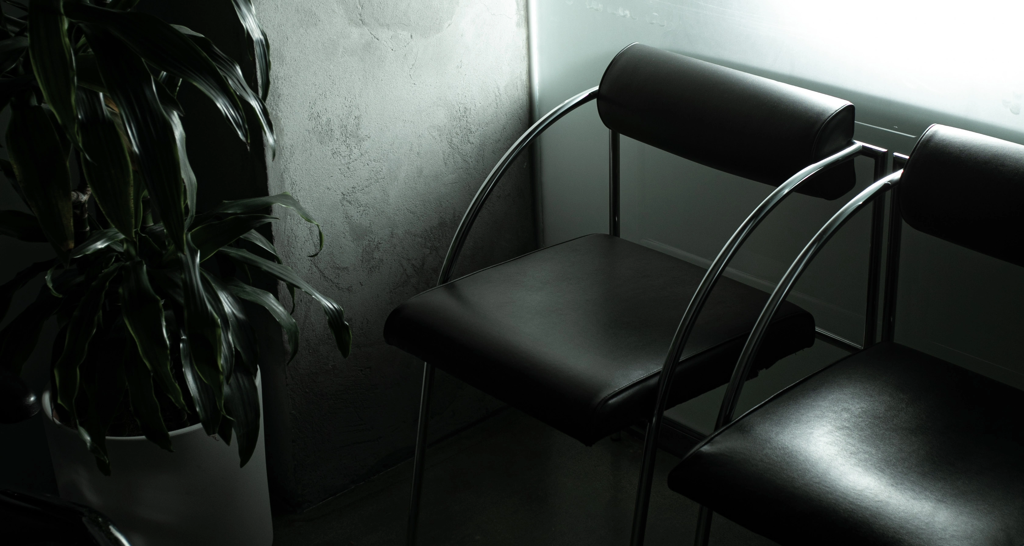 accueil studio rayon noir chaises plantes