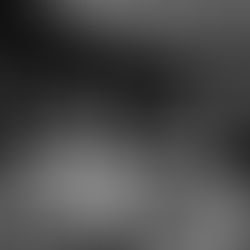 L’année 2025 a été rythmée par de nombreuses collaborations entre Rayon Noir et Live Nation, leader international de l’organisation et de la promotion de spectacles.