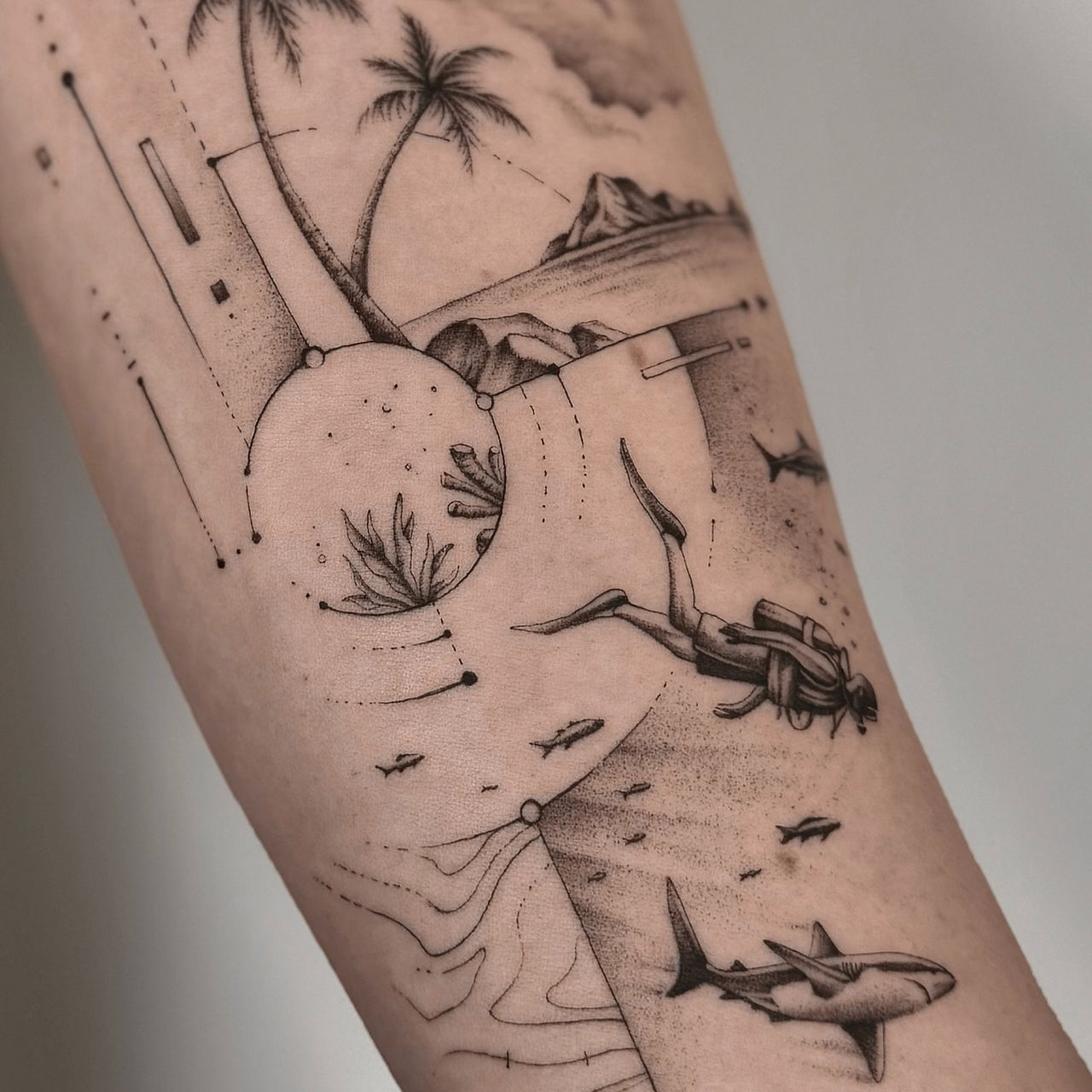 tatouage bras fine line nature composition plage animaux requin