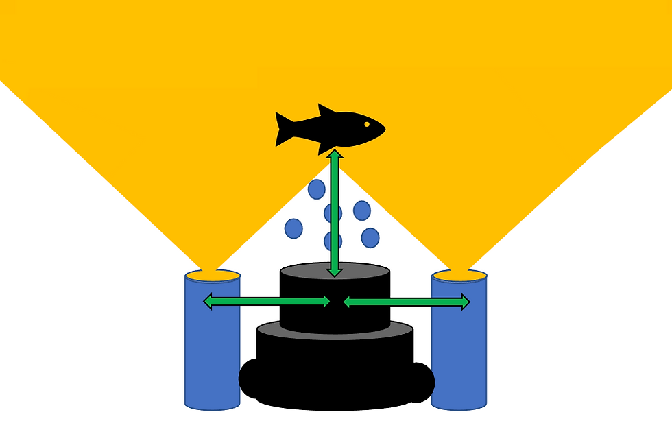 



The distance to your subject, in this case the fish, should match the distance between your strobes and the cameras sensor. When the fish is close, bring your strobe arms in tight so they sit close to the camera, ensuring balanced and even lighting.
