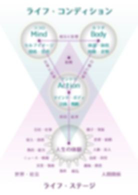 ライフ・コンディション明朝.003.jpeg