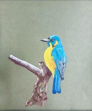 La mésange
Pastel sur papier Canson 22 x 24 cm