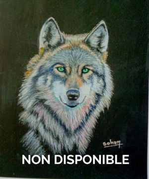 Le loup
Pastel sur papier canson mi-teinte touch 30X42cm