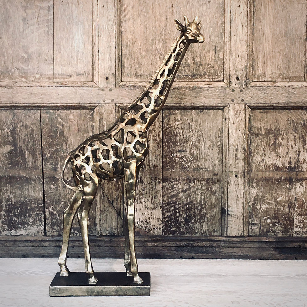 Thumbnail: Giraffe