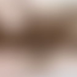 A Home in the Grove – Emma and William C. Wiechmann’s Home, 1555 S. Washington Avenue