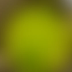 First Methodist Church of Saginaw City