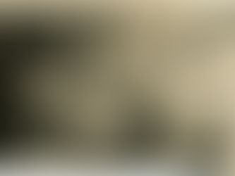 A New Store for Sears, Roebuck and Company