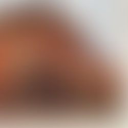 Heavenrich’s: A Holiday Tradition