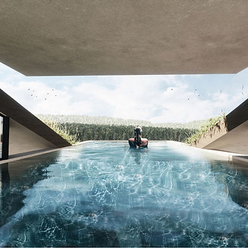 Panoramica design infinity pool with forrest view