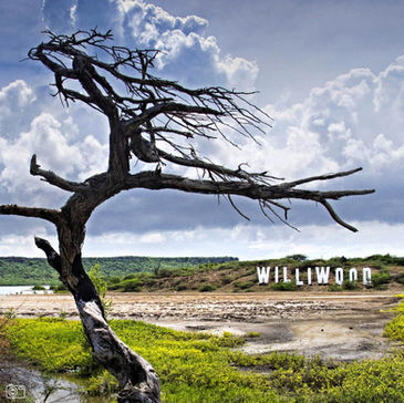 Williwood landmark concept by Mic Schut