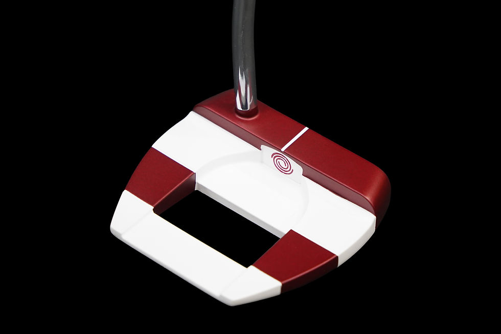 ODYSSEY L1 JAILBIRD 380 White Hot Face Special Made for Tour Only TC-serial