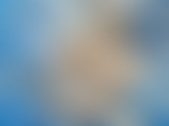 Запилення тіландсій та пророщування насіння в домашніх умовах (автор Віталій Шевченко)