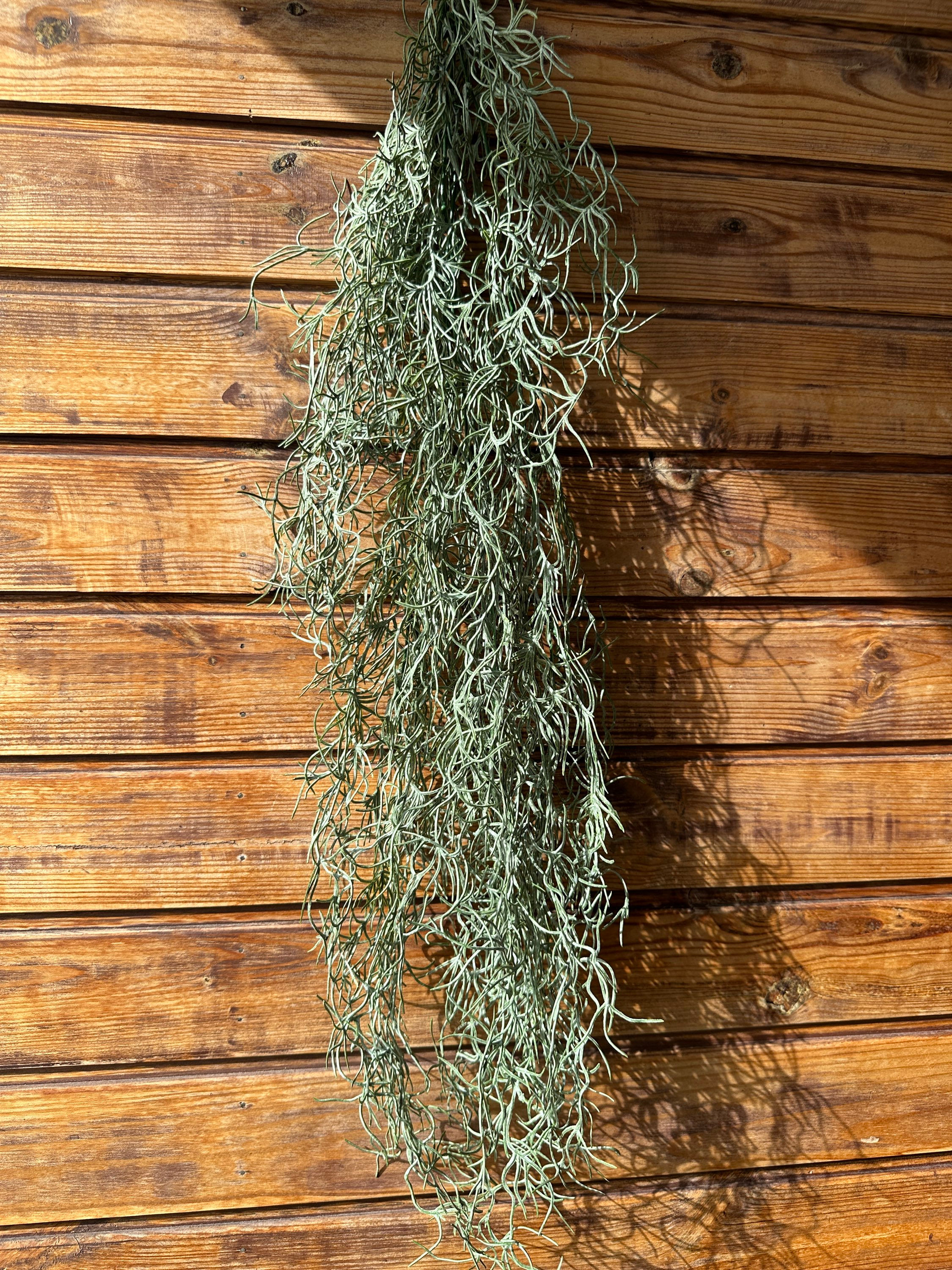 Usneoides (штучна) / Усневидна тіландсія штучна