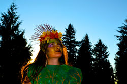 Guardian of the Forest