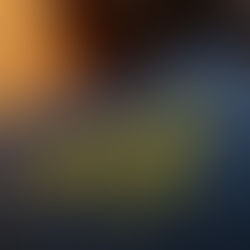 Florida probate law book with judge gavel on desk representing estate administration and legal risks for special needs beneficiaries