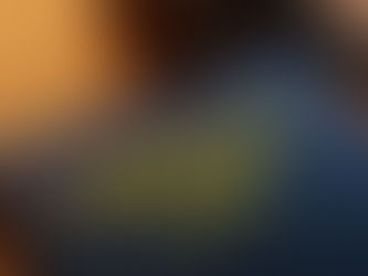 Florida probate law book with judge gavel on desk representing estate administration and legal risks for special needs beneficiaries