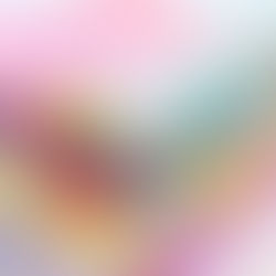 Organized legal documents for a Florida special needs planning review