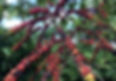 IMG_5056 2.jpeg