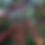 Thumbnail: Apaneca Organic Pacamara Coffee