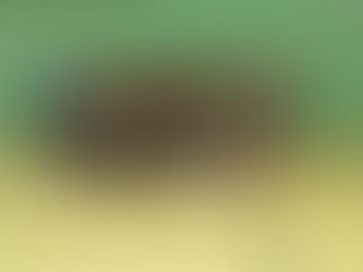 Sukces " Młodziczek "  Brawo !!! Brawo !!! Brawo !!! 